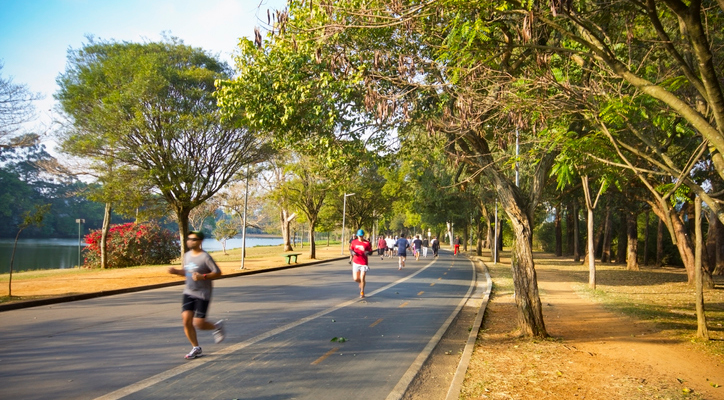 Pessoas praticando exercícios no Parqur Ibirapuera